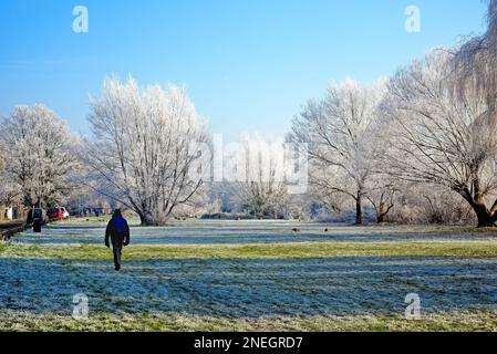 Le bord de la rivière à Shepperton lors d'une journée hivernale froide et ensoleillée avec des arbres et de la végétation couverts de givre, Surrey, Angleterre, Royaume-Uni Banque D'Images