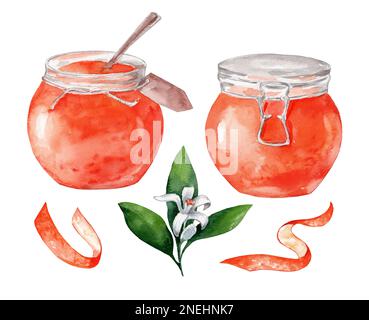 Ensemble d'oranges aquarelles et de confiture d'orange isolé sur fond blanc. Orange, feuilles, fleurs, fruits confits, pot en verre. Aliments sains, bonbons, confiture, f Banque D'Images