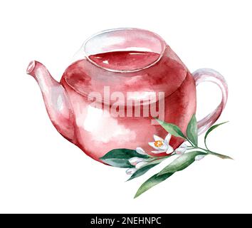 Théière avec tisane et fleurs d'orange. Peinture aquarelle dessinée à la main isolée sur fond blanc Banque D'Images