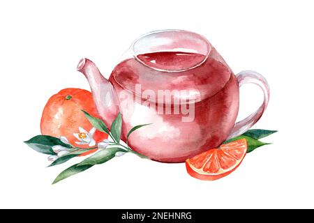 Théière avec tisane, fleurs et fruits à l'orange. Peinture aquarelle dessinée à la main isolée sur fond blanc Banque D'Images