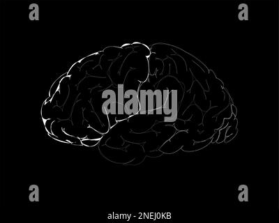 Icône d'esquisse du cerveau isolée sur fond noir, illustration du vecteur cérébral humain Illustration de Vecteur
