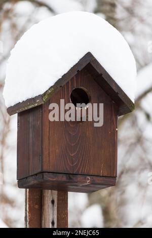 Cabane à oiseaux en bois sur poteau avec de la neige sur le toit Banque D'Images