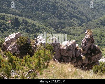 Monte Pasubio, Province de Vicence, Vénétie, Italie, Europe Banque D'Images