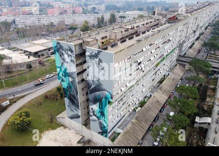 Rome, Italie. 16th févr. 2023. (NOTE DE LA RÉDACTION: Image prise avec drone).Une murale de 40 mètres de long créée par l'artiste de rue néerlandais JDL (alter ego de l'artiste Judith de Leeuw) sur un mur de la Corviale, un bâtiment de 958 mètres de long de logement public (également appelé '' le grand serpent'' en raison de sa forme) à Rome. Le sujet s'inspire du mythe d'Icarus, une métaphore de l'intention d'une société de suivre un chemin qui ne porte guère d'attention au sort précaire du climat et de l'environnement, ce qui conduit à l'autodestruction. (Credit image: © Stefano Costantino/SOPA Images via ZUMA Press Wire) E Banque D'Images