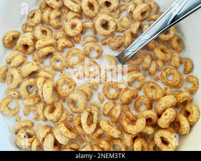 Les céréales Cheerios dans le lait Banque D'Images