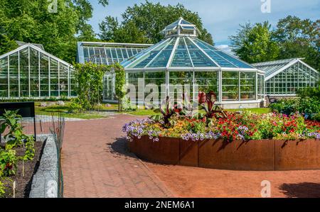 Parterre à fleurs sur un boxer en acier de couleur originale avec fleurs et serres brillantes derrière dans le jardin botanique de Kaisaniemi à Helsinki Banque D'Images