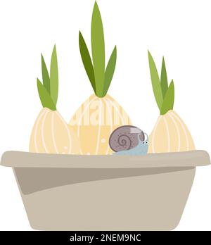 trois bulbes dans un pot de fleurs, avec un petit escargot. Illustration sur le thème du jardinage vecteur Illustration de Vecteur