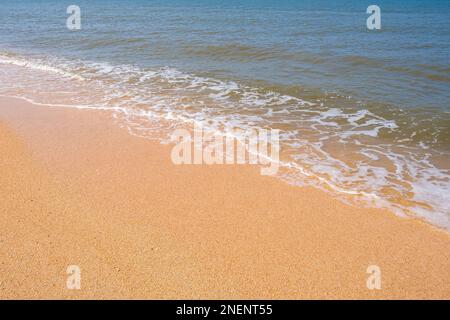 La côte de la mer d'Azov. Les vagues de la mer roulent sur le rivage sablonneux. Plage de sable de Seashell. Banque D'Images