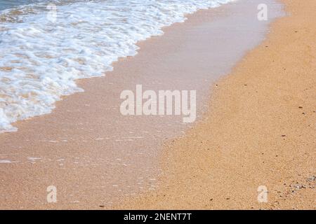 La côte de la mer d'Azov. Les vagues de la mer roulent sur le rivage sablonneux. Plage de sable de Seashell. Banque D'Images