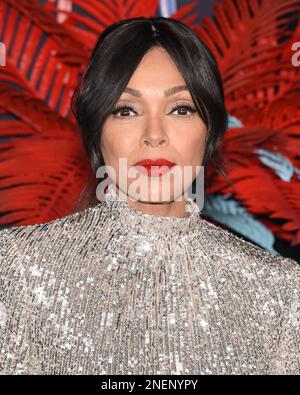 15 février 2023 - Burbank, Californie - Tamara Taylor. Red Carpet Premiere Event pour la sixième et dernière saison de ''Snowfall'' de FX à l'Academy Museum of Motion Pictures, Ted Mann Theater. Banque D'Images