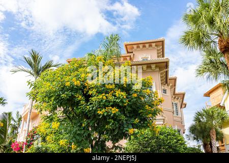 Bonita Springs pieds nus plage résidentiel communauté en Floride avec maison de luxe immobilier maison appartement condo et fleurs d'arbre tropical Banque D'Images