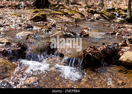 Petite cascade cascade rivière ruisseau eau ruisseau coulant dans Shamokin Springs nature réserve sentier de randonnée dans Wintergreen Resort en Virginie Banque D'Images