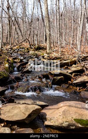 Petite cascade cascade cascade rivière cours d'eau coulant dans Shamokin Springs nature Preserve sentier de randonnée dans Wintergreen Resort en Virginie vue verticale Banque D'Images