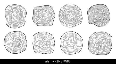 Le tronc de l'arbre coupe le vecteur défini dans une esquisse dessinée à la main. Écorce d'arbre avec fissures, pin scié circulaire. Anneaux en bois. Tranches de chêne, symbole de bois. Illustration de Vecteur