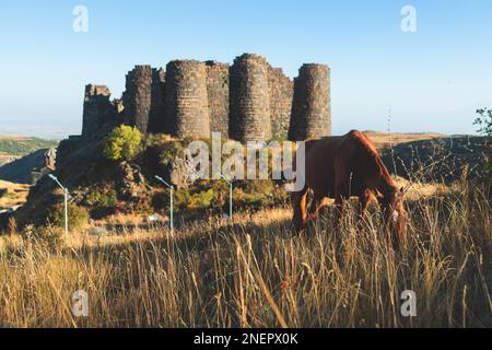 Belle vue ensoleillée de la forteresse d'Amberd, le Mont Aragats avec des pasteurs à cheval, Aragatsotn, Arménie en été Banque D'Images