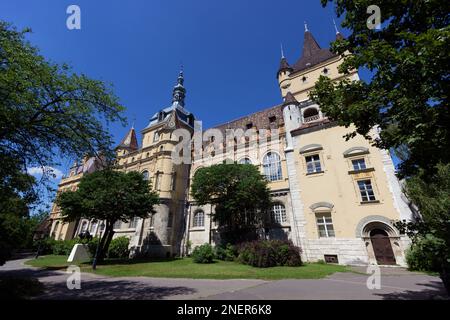 Vue extérieure du château historique de Vajdahunyad entouré d'arbres verts dans le parc de la ville sous un ciel bleu clair à Budapest, Hongrie Banque D'Images