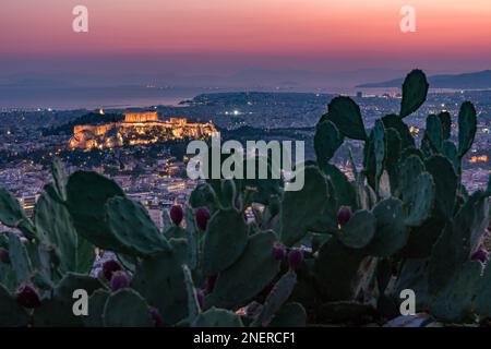 Vue panoramique de la ville d'Athènes au crépuscule Banque D'Images