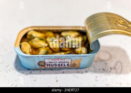 Naples, Etats-Unis - 11 février 2022: Trader Joe's légèrement fumé moules fruits de mer fruits de mer peut dans extra virgini huile d'olive, ouvert moule macro gros plan sur whi Banque D'Images