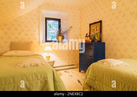 Deux lits simples avec couvre-lits vert citron et commode en bois bleu antique dans la chambre d'amis avec parquet en bois de pin peint blanc à l'intérieur de la vieille maison. Banque D'Images