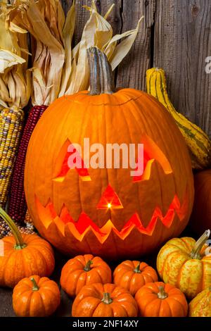 Jack-O'Latern avec petites citrouilles, maïs indien et gourdes Banque D'Images