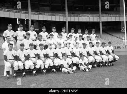 Yankees Manager Yogi Berra and Jim Bouton, 1964. Courtesy: CSU  Archives/Everett Collection Stock Photo - Alamy