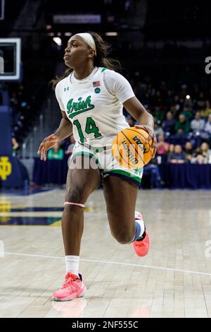 16 février 2023 : le garde notre Dame KK Bransford (14) se dirige vers le panier lors de l'action du jeu de basket-ball féminin NCAA entre les Cardinals de Louisville et les combattants irlandais de notre Dame au Pavillon Purcell au Centre Joyce de South Bend, Indiana. Notre Dame a battu Louisville 78-76 en heures supplémentaires. John Mersiits/CSM. Banque D'Images