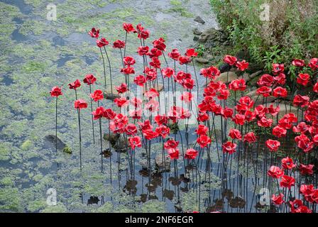 Image de la sculpture du Yorkshire des coquelicots en céramique rouge Banque D'Images