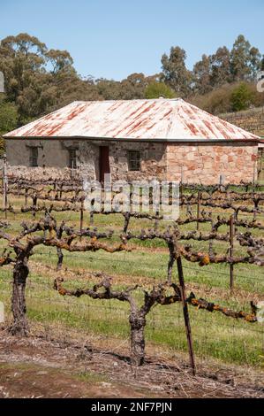 Chalet en pierre au-delà des vignes à Mintaro dans la Clare Valley en Australie méridionale Banque D'Images