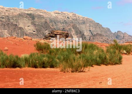 Wüstenlandschaft im Wadi Rum / scène du désert à Wadi Rum, Jordanie Banque D'Images