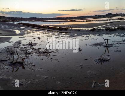 Parc naturel terrestre maritime es Trenc-Salobrar de Campos, Majorque, Iles Baléares, Espagne Banque D'Images