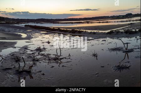 Parc naturel terrestre maritime es Trenc-Salobrar de Campos, Majorque, Iles Baléares, Espagne Banque D'Images