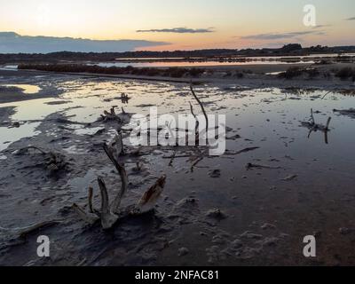 Parc naturel terrestre maritime es Trenc-Salobrar de Campos, Majorque, Iles Baléares, Espagne Banque D'Images