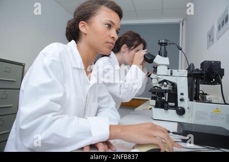 un jeune scientifique confiant étudiant en laboratoire Banque D'Images