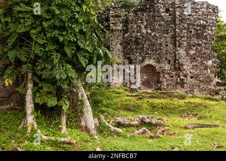 Ruines de Panama Viejo ou du Vieux Panama, près de Panama ville, Panama. Panama Viego a été fondé en 1519 et détruit par Henry Morgan, le pirate, en 1671. Banque D'Images