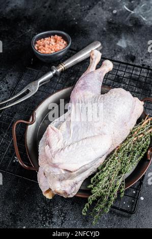 Guinéafhibou cru, pintade avec herbes dans plateau en acier Arrière-plan noir. Vue de dessus. Banque D'Images