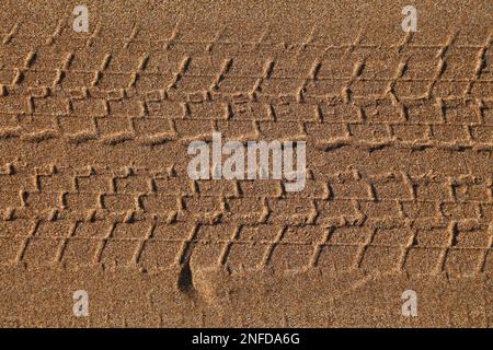 Piste de roue de voiture sur sable de plage au Maroc. Banque D'Images