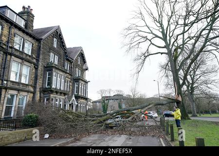 Une voiture Porsche 911 est endommagée par un arbre tombé à Harrogate, dans le North Yorkshire, à la suite de la tempête Otto. La tempête, la première à être nommée cet hiver, a été nommée Otto par l'Institut météorologique danois (DMI) et devrait causer des perturbations aux voyageurs dans les régions du nord du Royaume-Uni. Date de la photo: Vendredi 17 février 2023. Banque D'Images