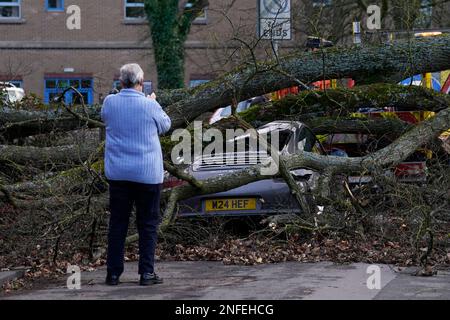 Une voiture Porsche 911 est endommagée par un arbre tombé à Harrogate, dans le North Yorkshire, à la suite de la tempête Otto. La tempête, la première à être nommée cet hiver, a été nommée Otto par l'Institut météorologique danois (DMI) et devrait causer des perturbations aux voyageurs dans les régions du nord du Royaume-Uni. Date de la photo: Vendredi 17 février 2023. Banque D'Images