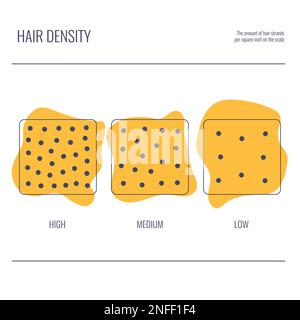 Les types de densité de cheveux sont un tableau de faible, moyen, haut volume de brin Illustration de Vecteur