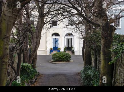 allée couverte d'un arbre menant à une rangée de maisons Banque D'Images