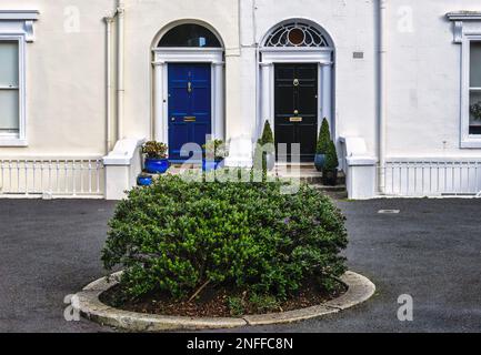 allée couverte d'un arbre menant à une rangée de maisons Banque D'Images