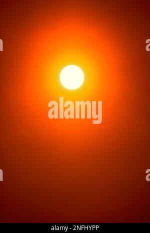Soleil d'été doré haut dans le ciel à midi midi. Gros plan plein format. Le grand disque est pris seul avec un téléobjectif long. Banque D'Images