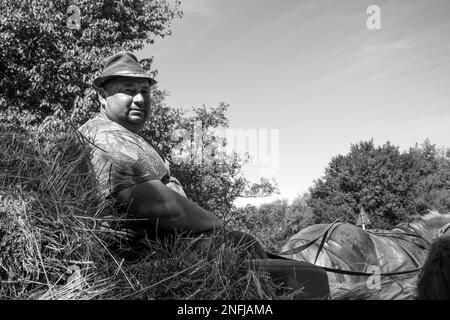 Roumanie. Transylvanie. Dorolea. la vie quotidienne à la campagne Banque D'Images