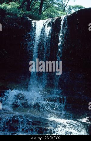 Australie. Nouvelle-Galles du Sud. Parc national des Blue Mountains. Chute d'eau de la roche pleureuse. Banque D'Images