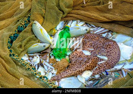 bouteille en plastique parmi les prises dans un filet de pêcheur. Côte sud du Sri Lanka dans l'océan Indien Banque D'Images