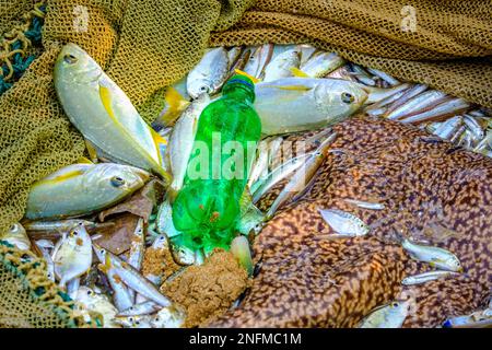 bouteille en plastique parmi les prises dans un filet de pêcheur. Côte sud du Sri Lanka dans l'océan Indien Banque D'Images