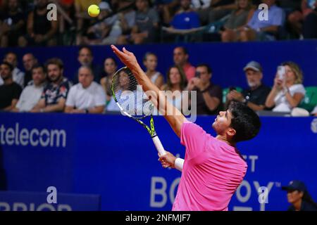 Carlos Alcaráz en Argentine Open Tenis (ATP) Banque D'Images