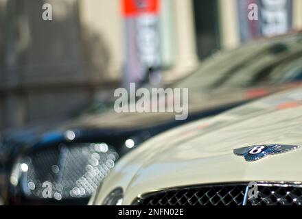 Logo de capot moteur Bentley argenté en fond de fond noir de bokeh Bentley Banque D'Images