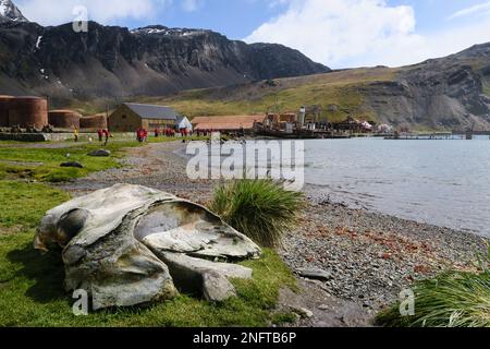 La colonie de Grytviken, la ville de chasse à la baleine de Géorgie du Sud, dans l'Atlantique Sud Banque D'Images