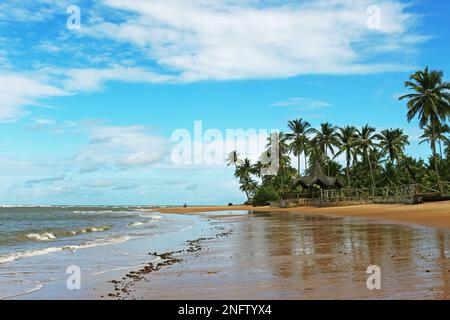 La belle plage dans la baie de Camamu, dans la municipalité de Camamu, au sud de l'état de Bahia, au nord-est du Brésil. Banque D'Images